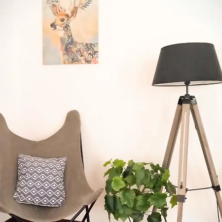 Large With Garden Appartement